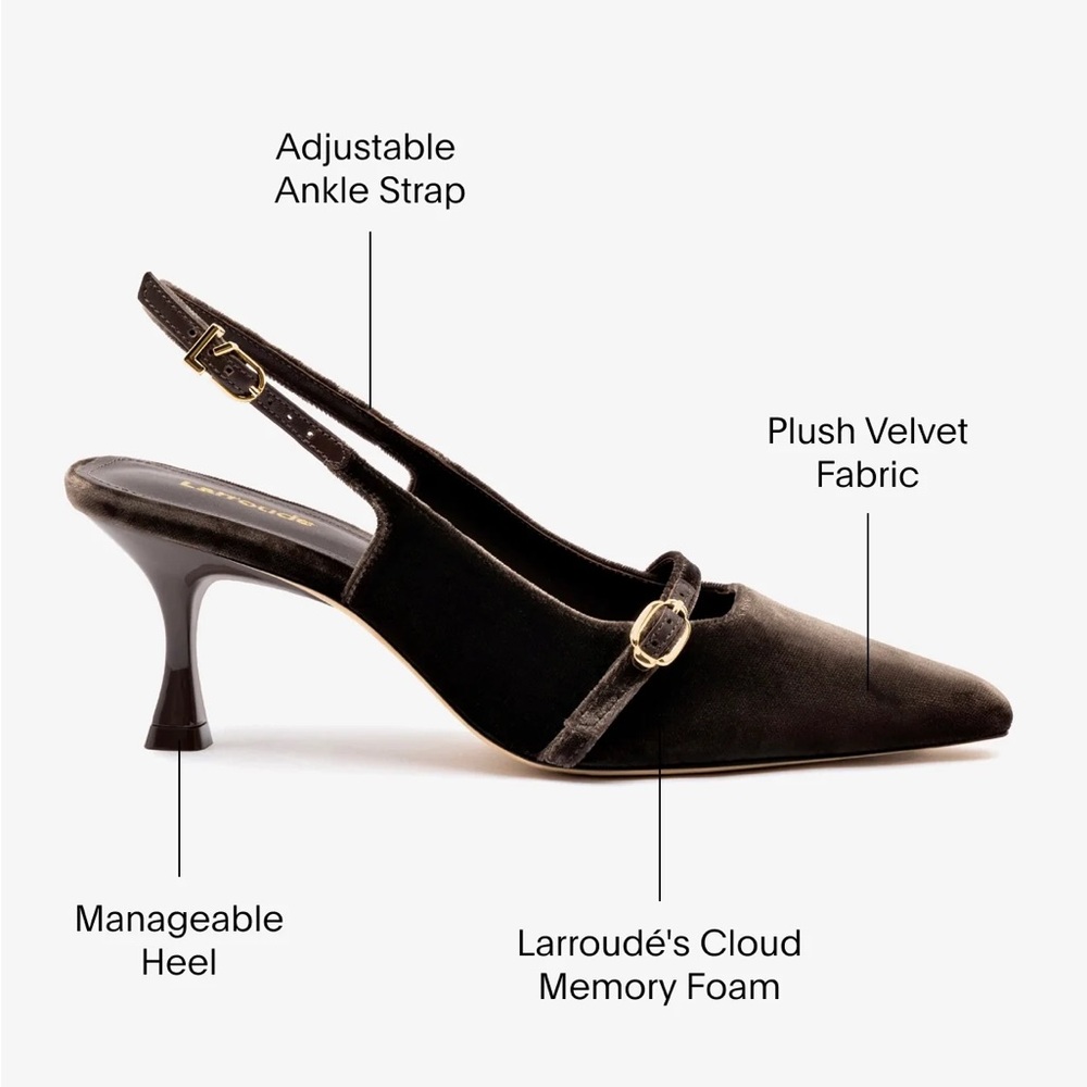 Larroudé Ines Pump In Expresso Velvet